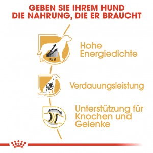 Royal Canin Adult Deutsche Dogge Hundefutter
