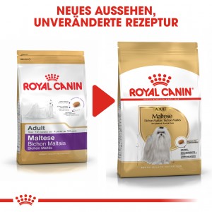Royal Canin Adult Malteser Hundefutter