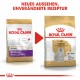 Royal Canin Adult Malteser Hundefutter