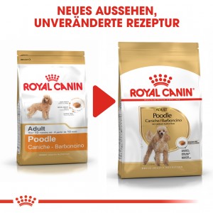 Royal Canin Adult Pudel Hundefutter