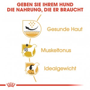 Royal Canin Adult Mops Hundefutter