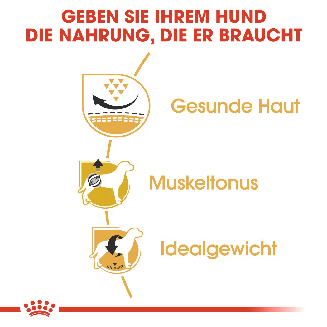 Royal Canin Adult Mops Hundefutter