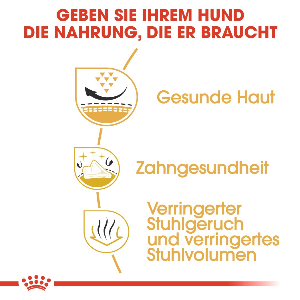 Royal Canin Adult Shih Tzu Hundefutter 