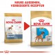 Royal Canin Puppy Boxer Hundefutter