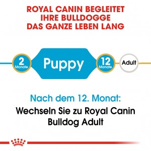 Royal Canin Puppy Bulldog Hundefutter