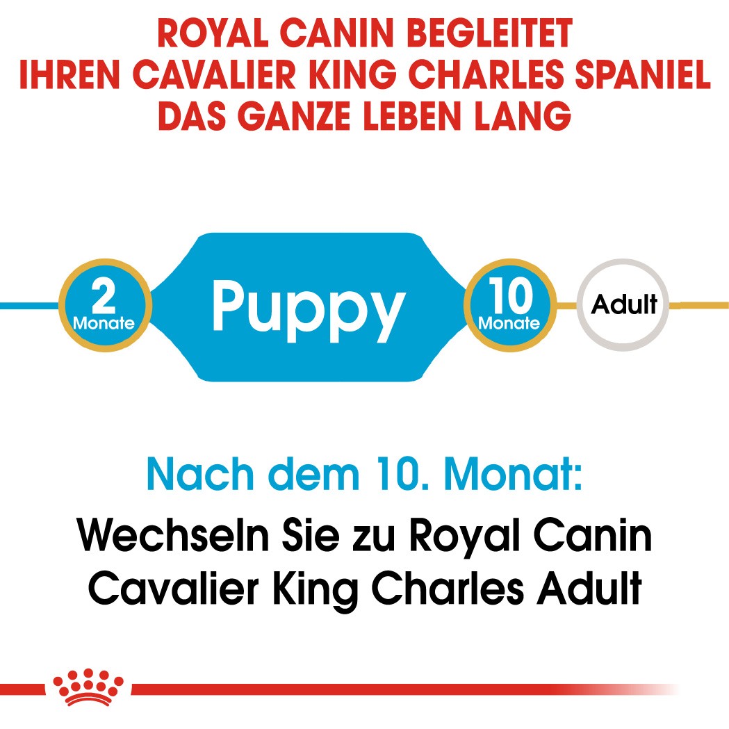 Royal Canin Puppy Cavalier King Charles Hundefutter