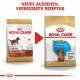 Royal Canin Puppy Dachshund Hundefutter