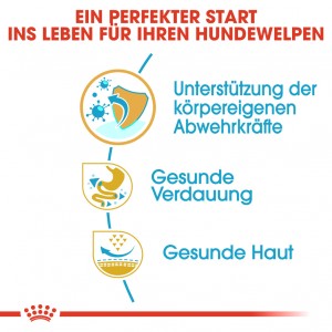 Royal Canin Puppy Französische Bulldogge Hundefutter