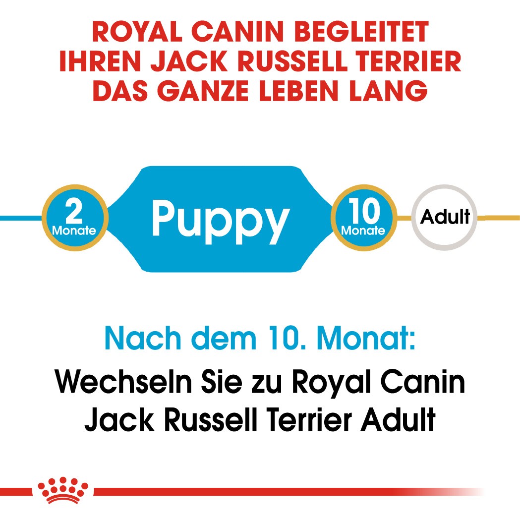 Royal Canin Puppy Jack Russell Terrier Hundefutter