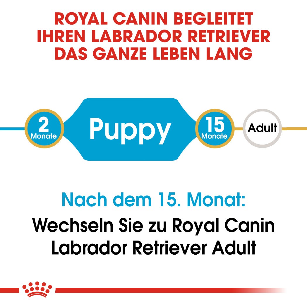 Royal Canin Puppy Labrador Retriever Hundefutter