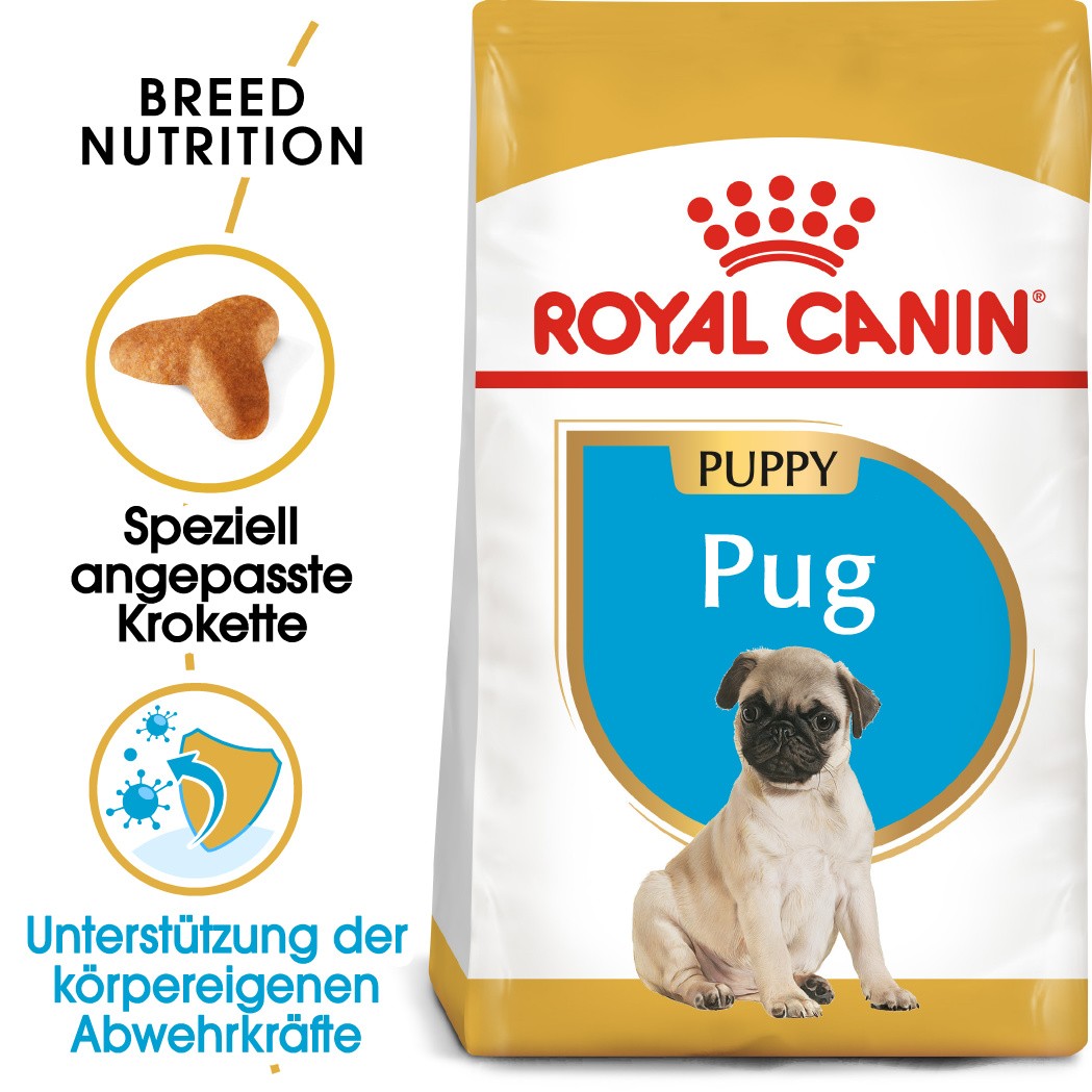 Royal Canin Puppy Mops Hundefutter