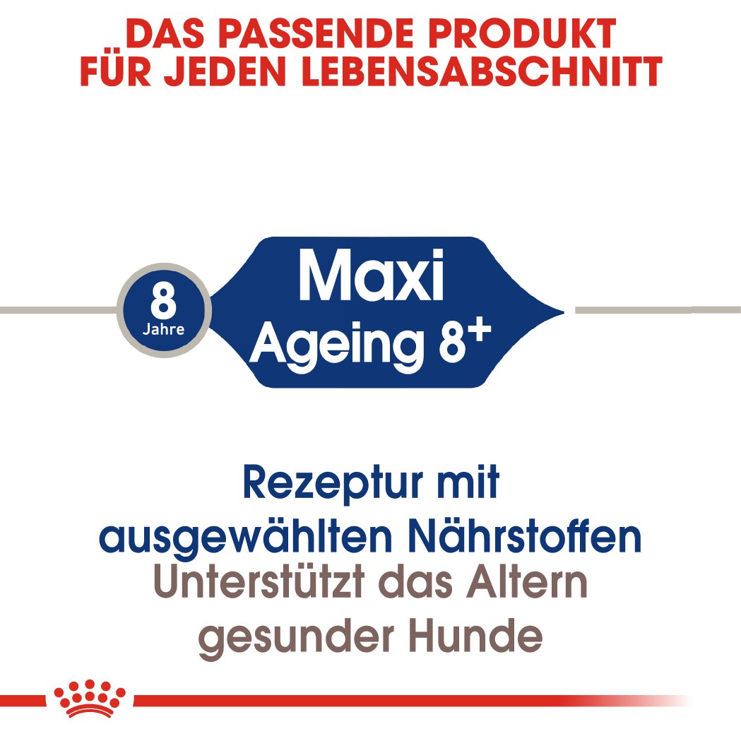 Royal Canin Maxi Ageing 8+ Hundefutter