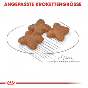 Royal Canin Mini Adult Hundefutter