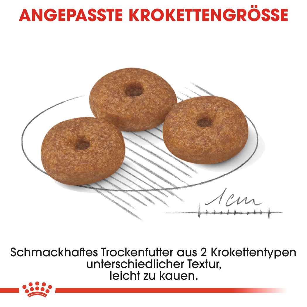 Royal Canin Mini Ageing 12+ Hundefutter