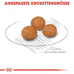Royal Canin Mini X-Small Adult voor de hond