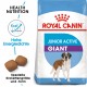 Royal Canin Giant Junior Active Hundefutter