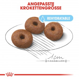 Royal Canin Giant Starter Hundefutter