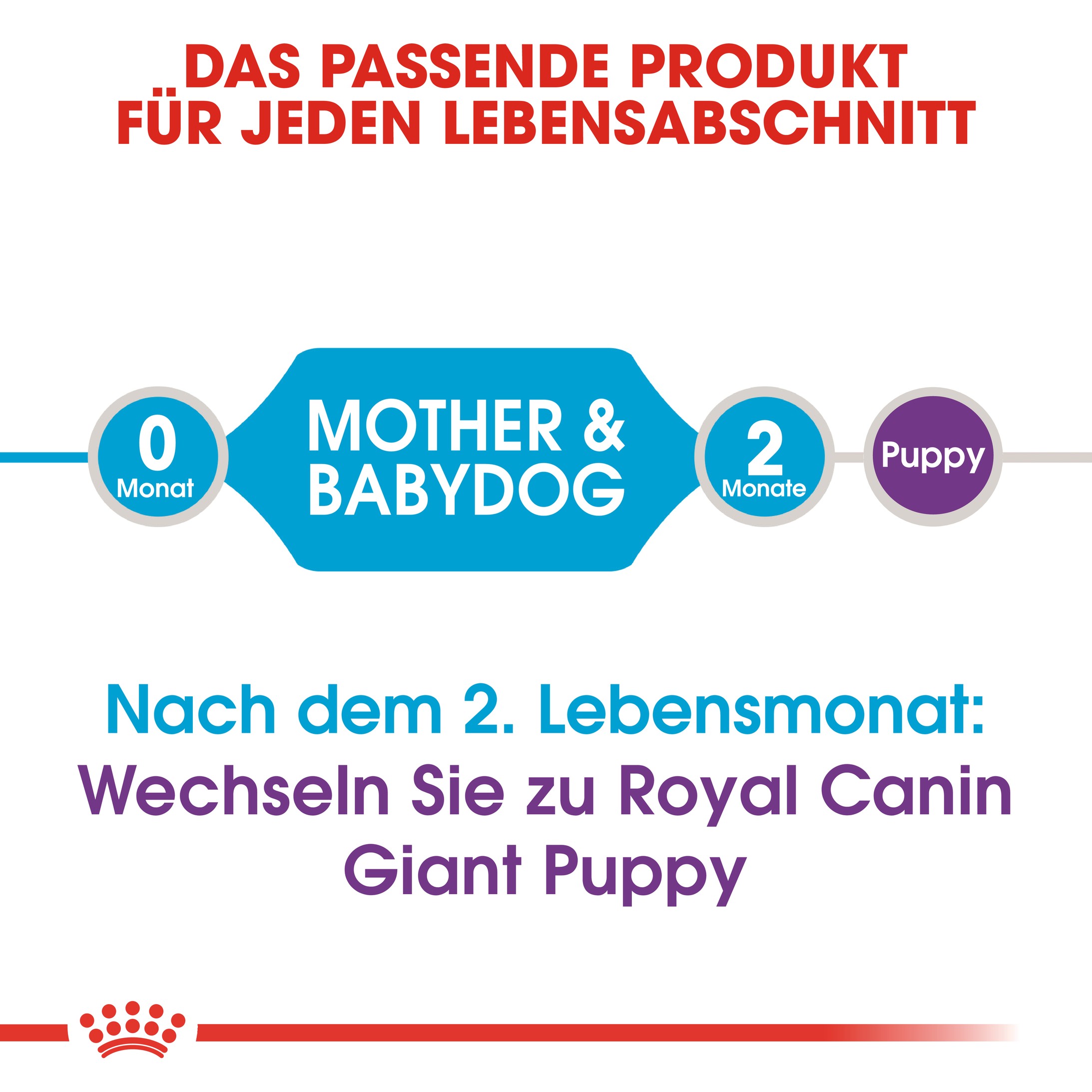 Royal Canin Giant Starter Hundefutter