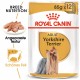 Royal Canin Adult Yorkshire Terrier Nassfutter