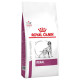 Royal Canin Veterinary Renal Hundefutter