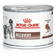 Royal Canin Veterinary Diet Recovery (in Dosen) 195g