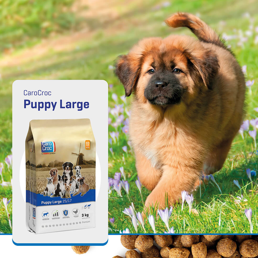 CaroCroc 25/17 Puppy Large (Junior) Hundefutter