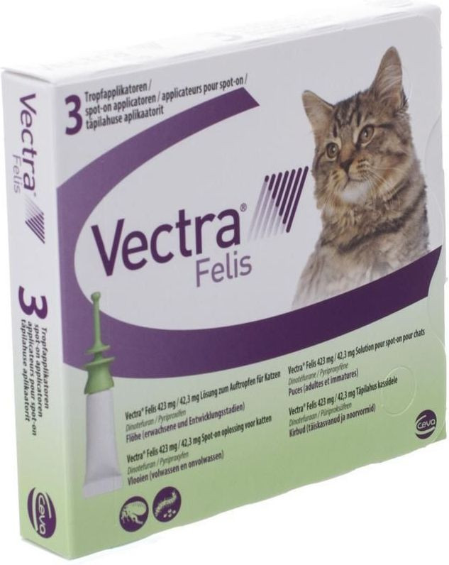 Vectra Felis Katze Kaufen Rostock