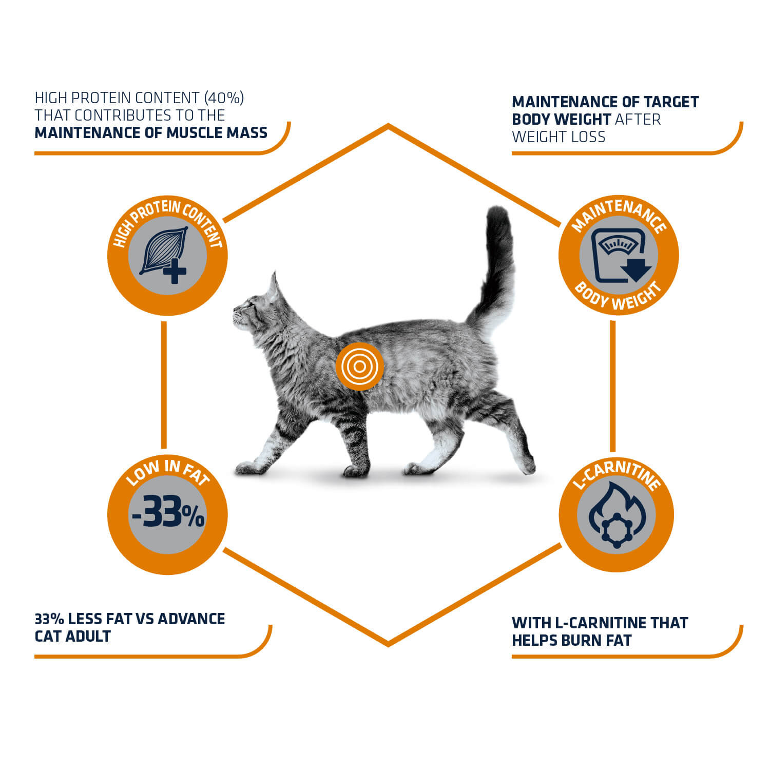 Advance Veterinary Weight Balance kattenvoer