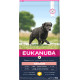 Eukanuba Senior Large Huhn Hundefutter