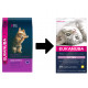 Eukanuba Kitten Huhn Katzenfutter