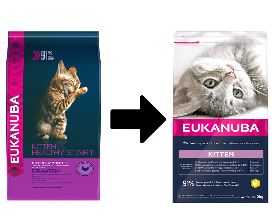 Eukanuba Kitten Huhn Katzenfutter