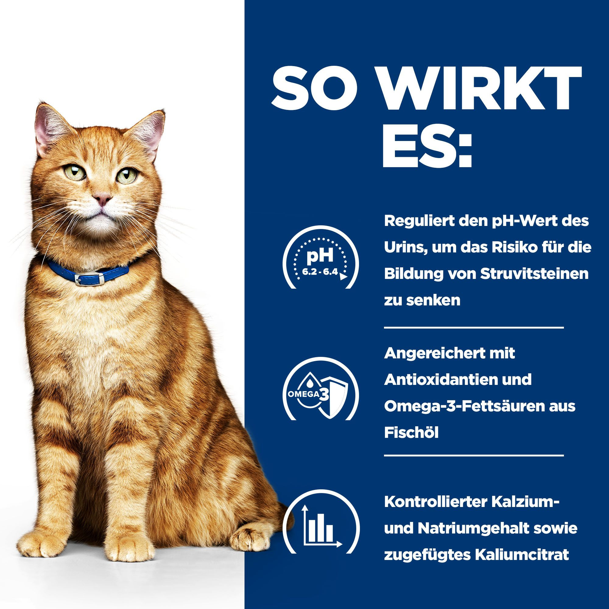 Hill's Prescription C/D Multicare Urinary Care mit Lachs Katzen-Nassfutter (Frischebeutel)