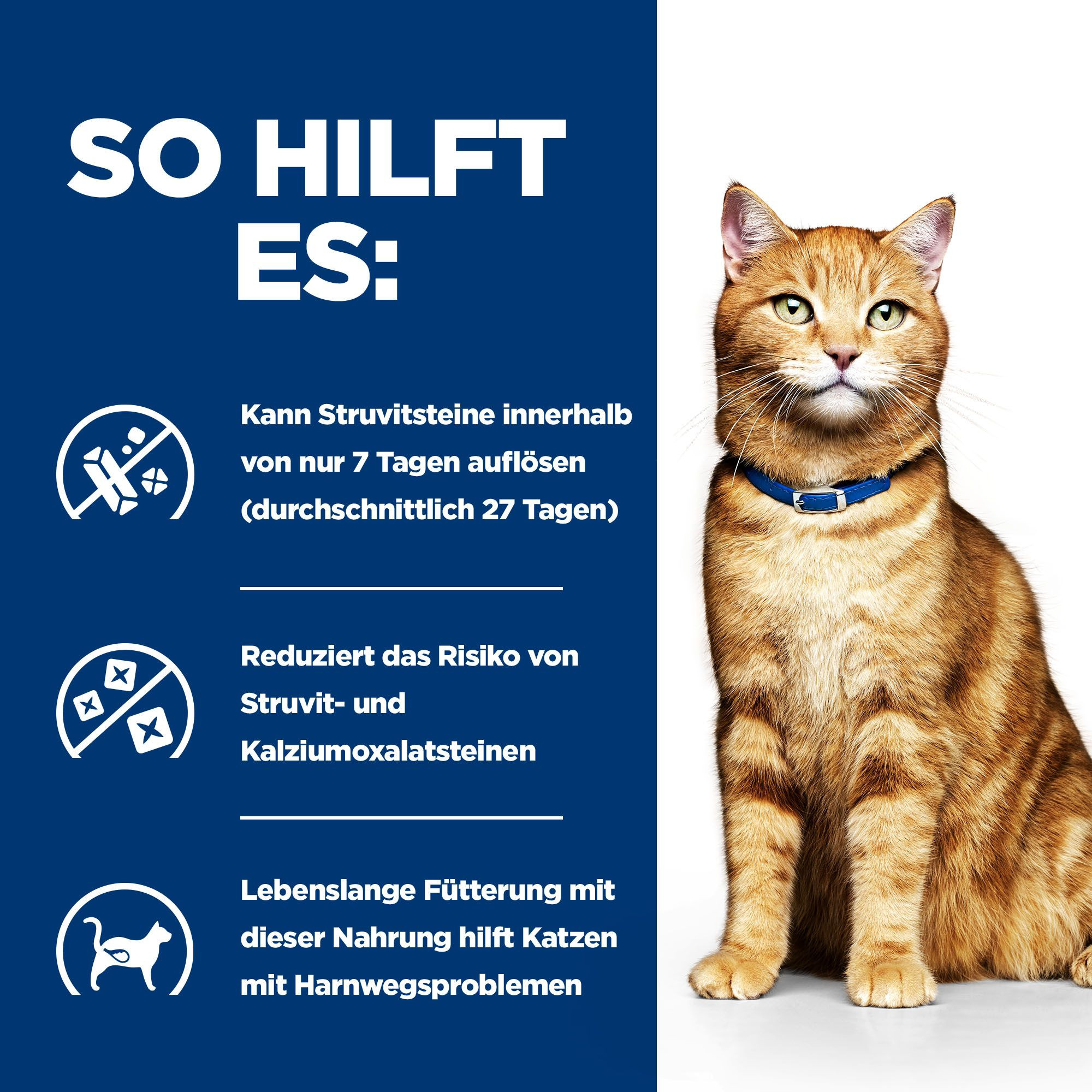 Hill's Prescription C/D Multicare Urinary Care mit Lachs Katzen-Nassfutter (Frischebeutel)