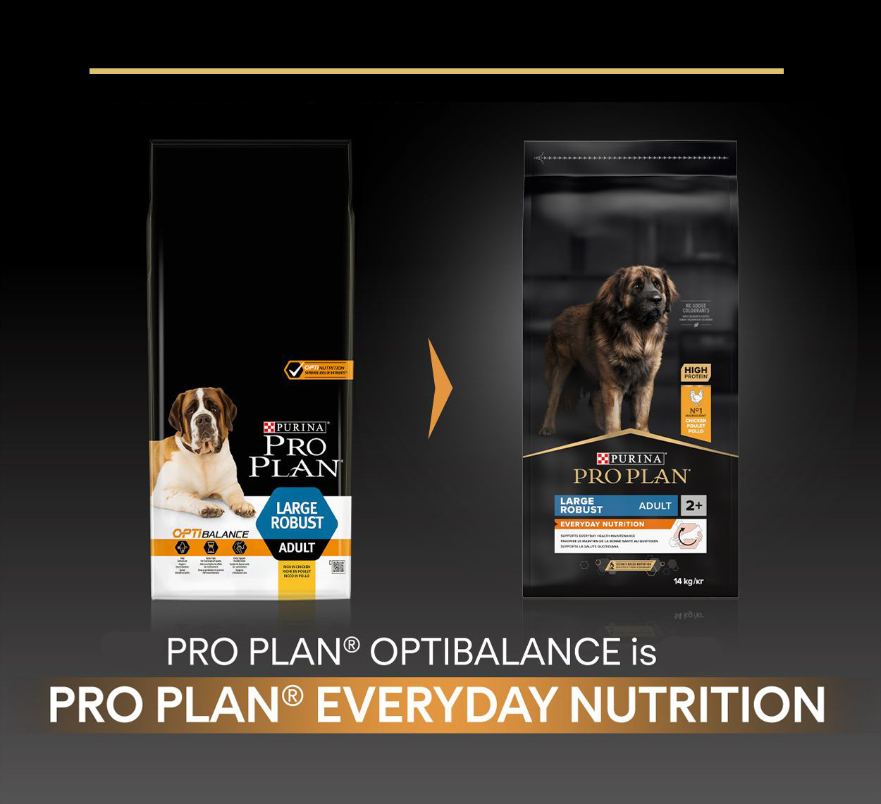 Pro Plan Large Robust Adult Everyday Nutrition mit Huhn Hundefutter