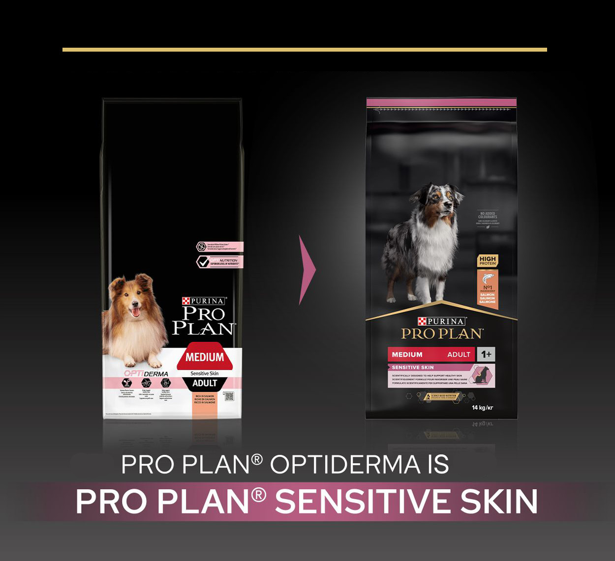 Pro Plan Medium Adult Sensitive Skin mit Lachs Hundefutter