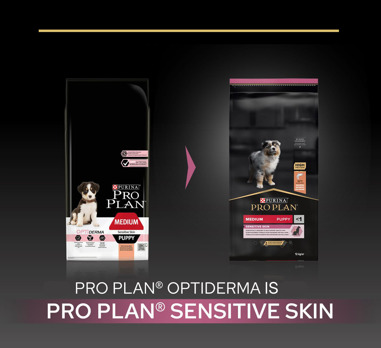 Proplan Puppy Zalm&Rijst