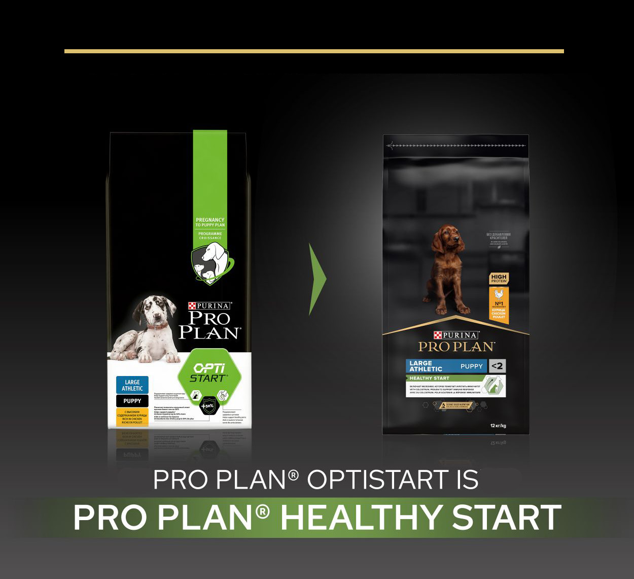 Pro Plan Large Athletic Puppy Huhn Optistart hundefutter
