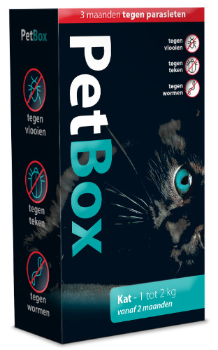 PetBox Kitten