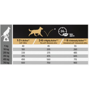 Pro Plan All Size Adult Performance Optipower Hundefutter