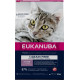 Eukanuba Kitten mit Lachs getreidefreies Katzenfutter