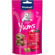 Vitakraft Cat Yums Superfood mit Hollunderbeere Katzenleckerlis (40 g)
