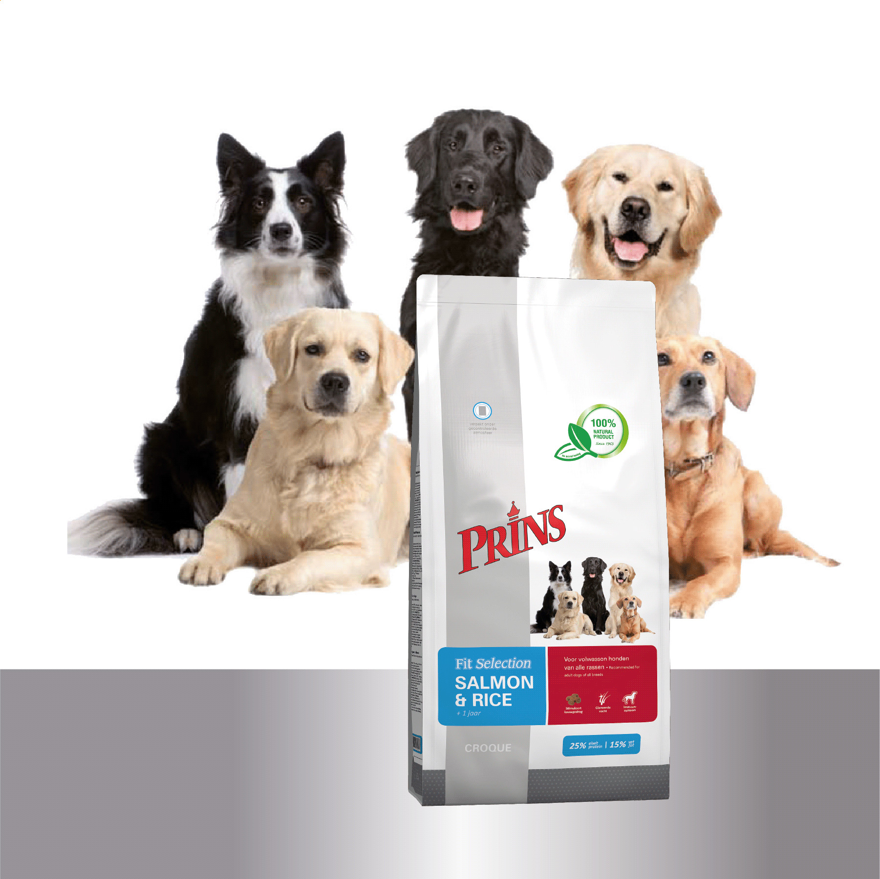 Prins Fit Selection Lachs & Reis Hundefutter 