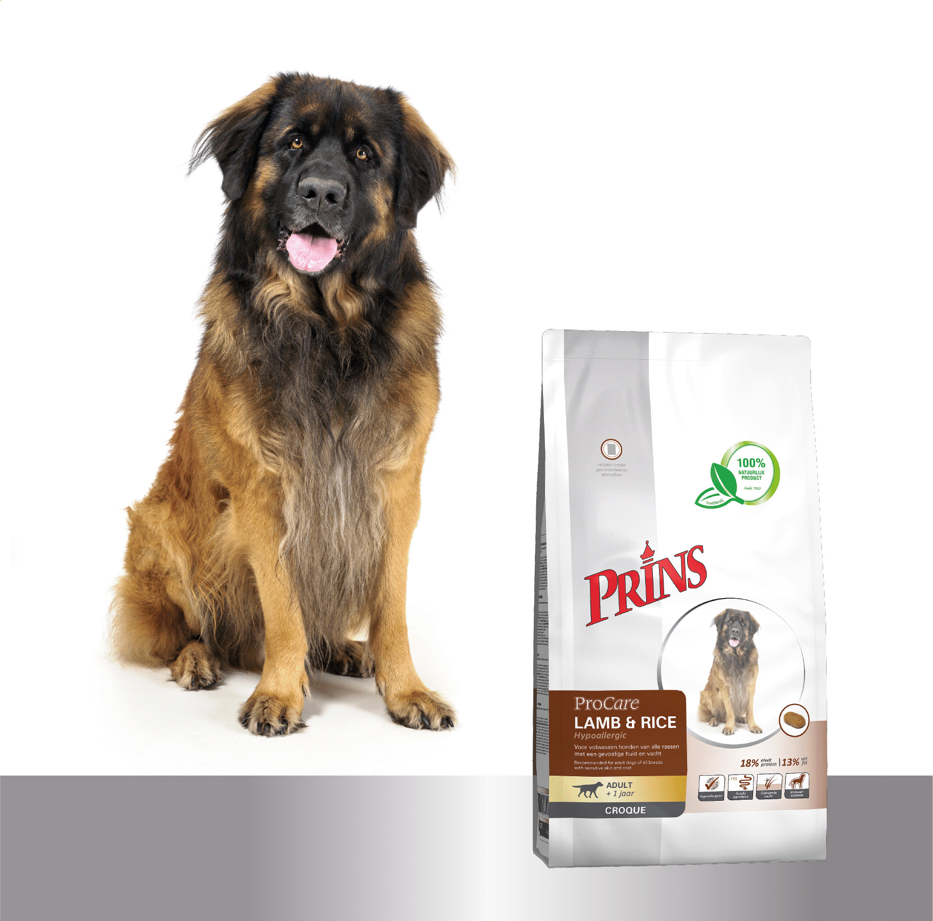 Prins ProCare Croque Hypoallergic mit Lamm & Reis Hundefutter