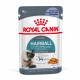 Royal Canin Hairball Care in Gelee Katzen-Nassfutter (85 g)