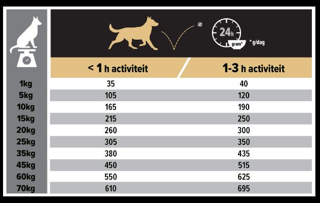 Pro Plan Medium Adult Sensitive Skin mit Lachs Hundefutter