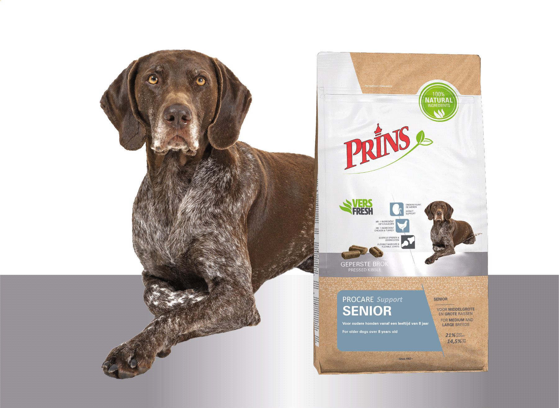 Prins ProCare Senior Support Hundefutter