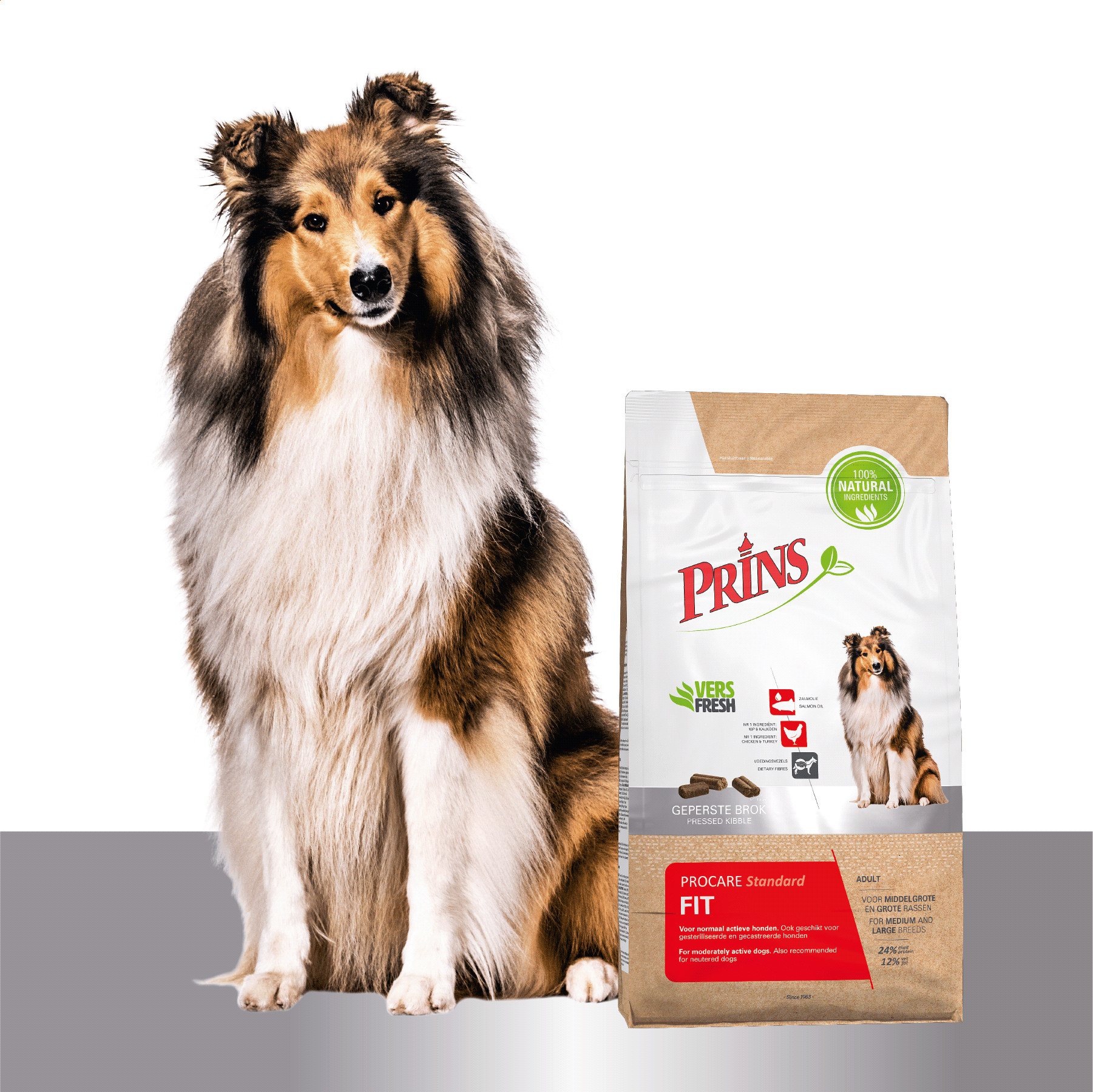 Prins ProCare Standard Fit Hundefutter