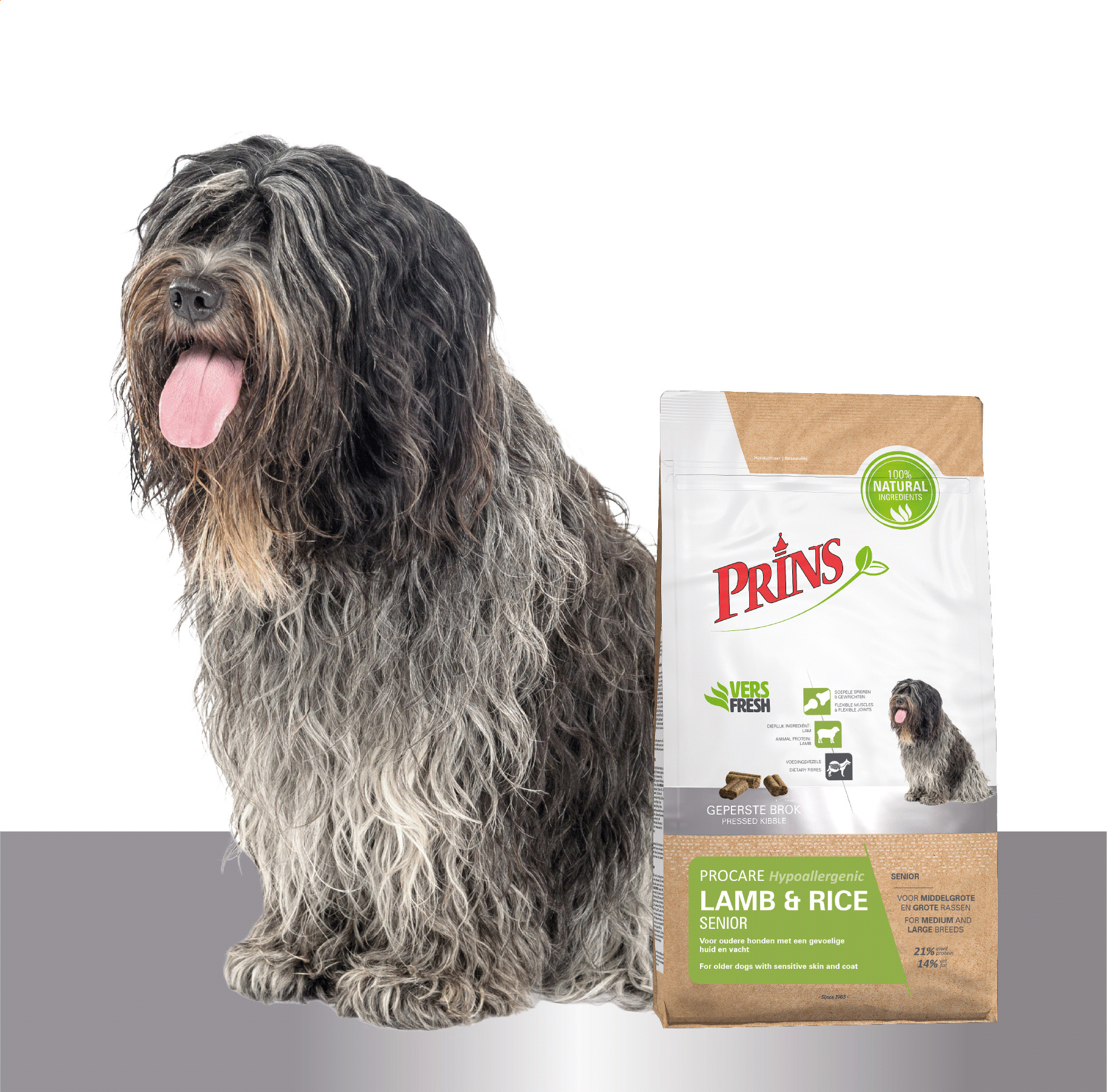 Prins ProCare Senior Hypoallergenic mit Lamm & Reis Hundefutter