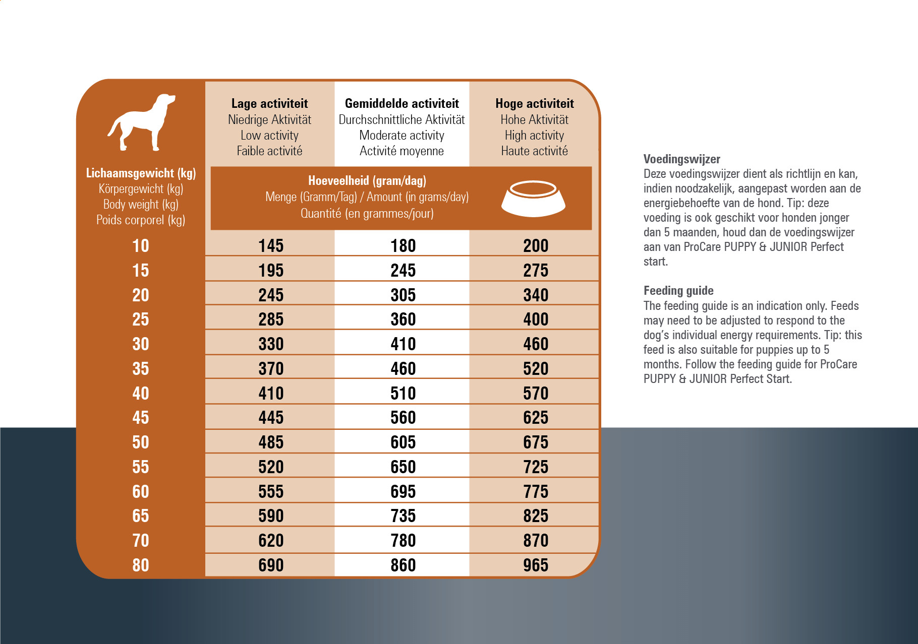 Prins ProCare Protection Lamb Hypoallergenic Hundefutter