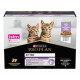 Pro Plan Kitten Healthy Start mit Truthahn Kätzchen-Nassfutter (85g)